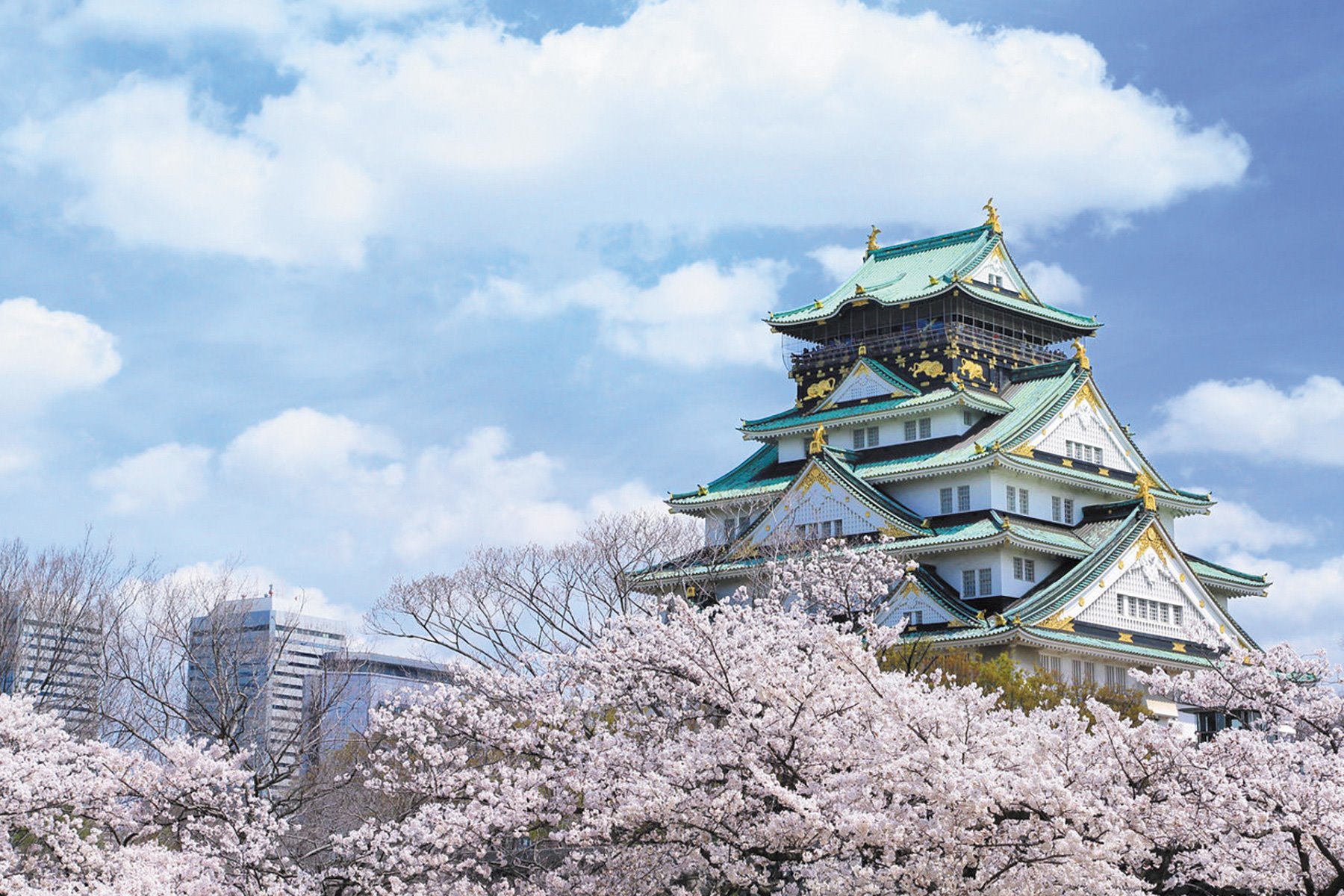 Development opportunity in Osaka